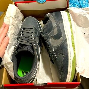 Men’s Nike dunk low retro